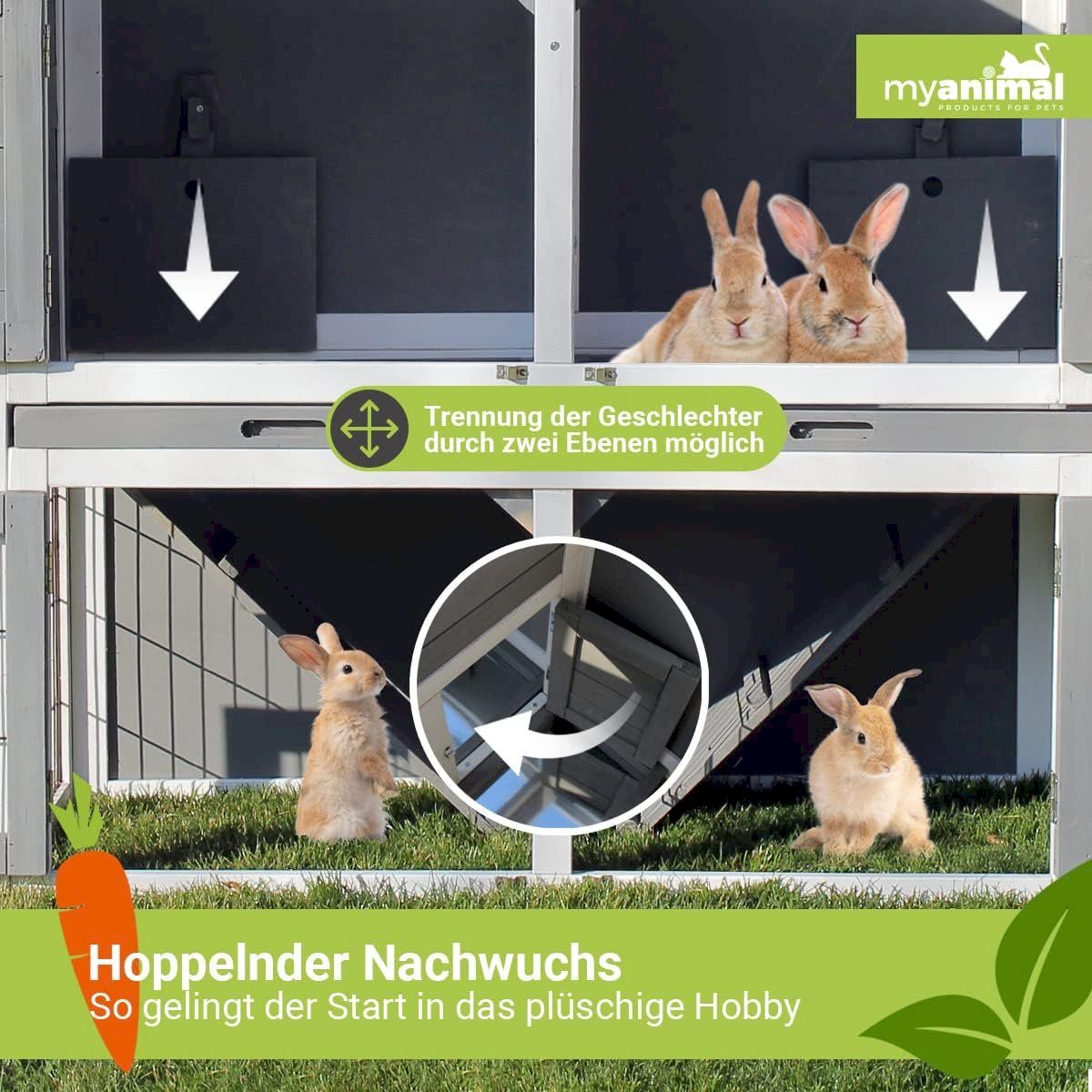 Käfige, Transport & Sicherheit: Hasenstall 2-stöckig Grau 118x55x105cm – Neu und originalverpackt aus Bottighofen von zaap 2