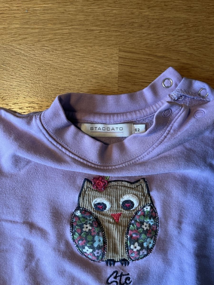 Maglioni & Felpe: Baby Pullover Gr. 62 – Usato da Bern venduto da farfalla22 2