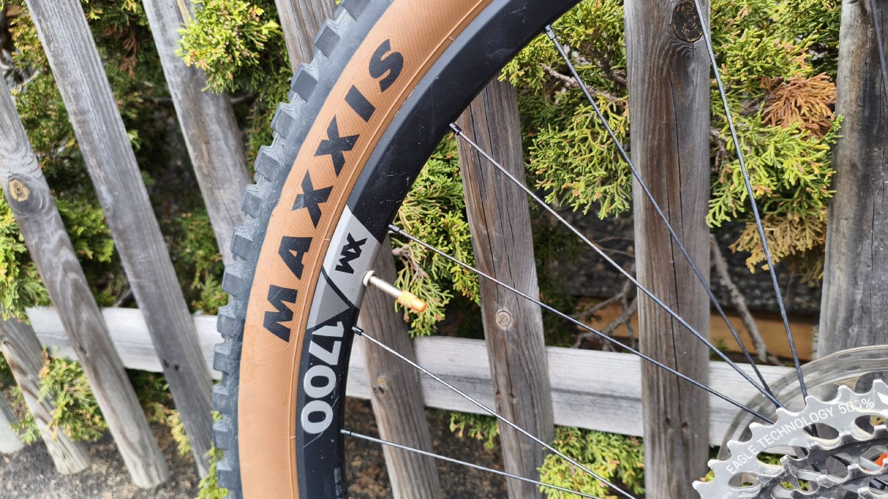 Scott Biciclette: Scott ransom tuned carbon – Usato da Verbier venduto da Bayomateo 1
