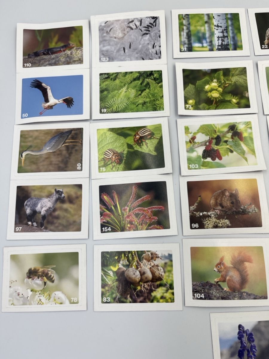 Migros Carte collezionabili: Migros Nature Detectives Bildli "27 Stuck" – Nuovo e nell'imballaggio originale da Bäch SZ venduto da Swissy46 1