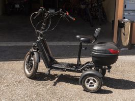 Bikeboard E-Trike, Made in Switzerland