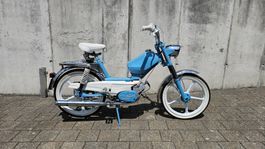 Pony 503 GTA