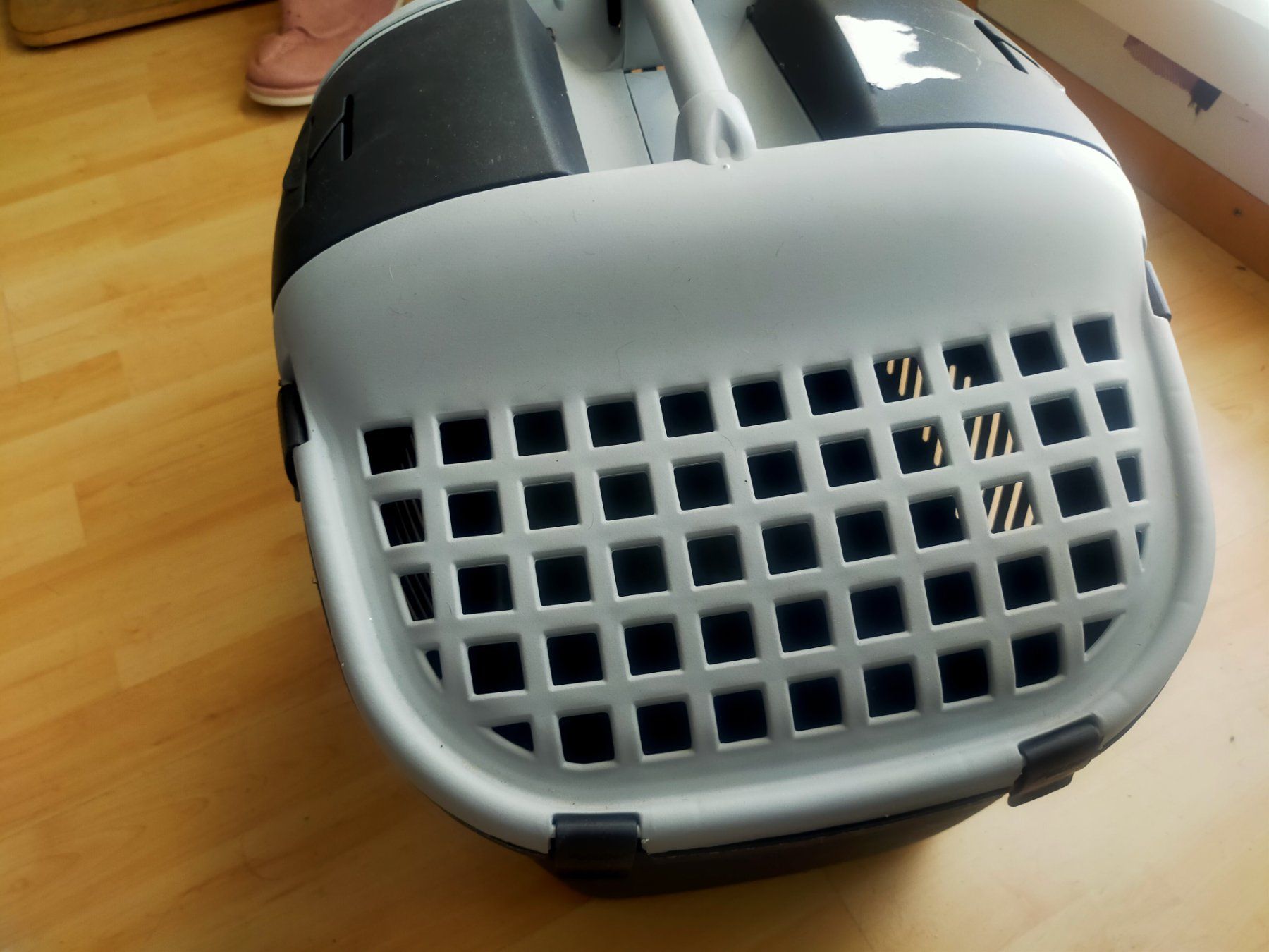 Cucce & Letti: XXL Tiertransporter – Usato da Tägerig venduto da mikky02 5