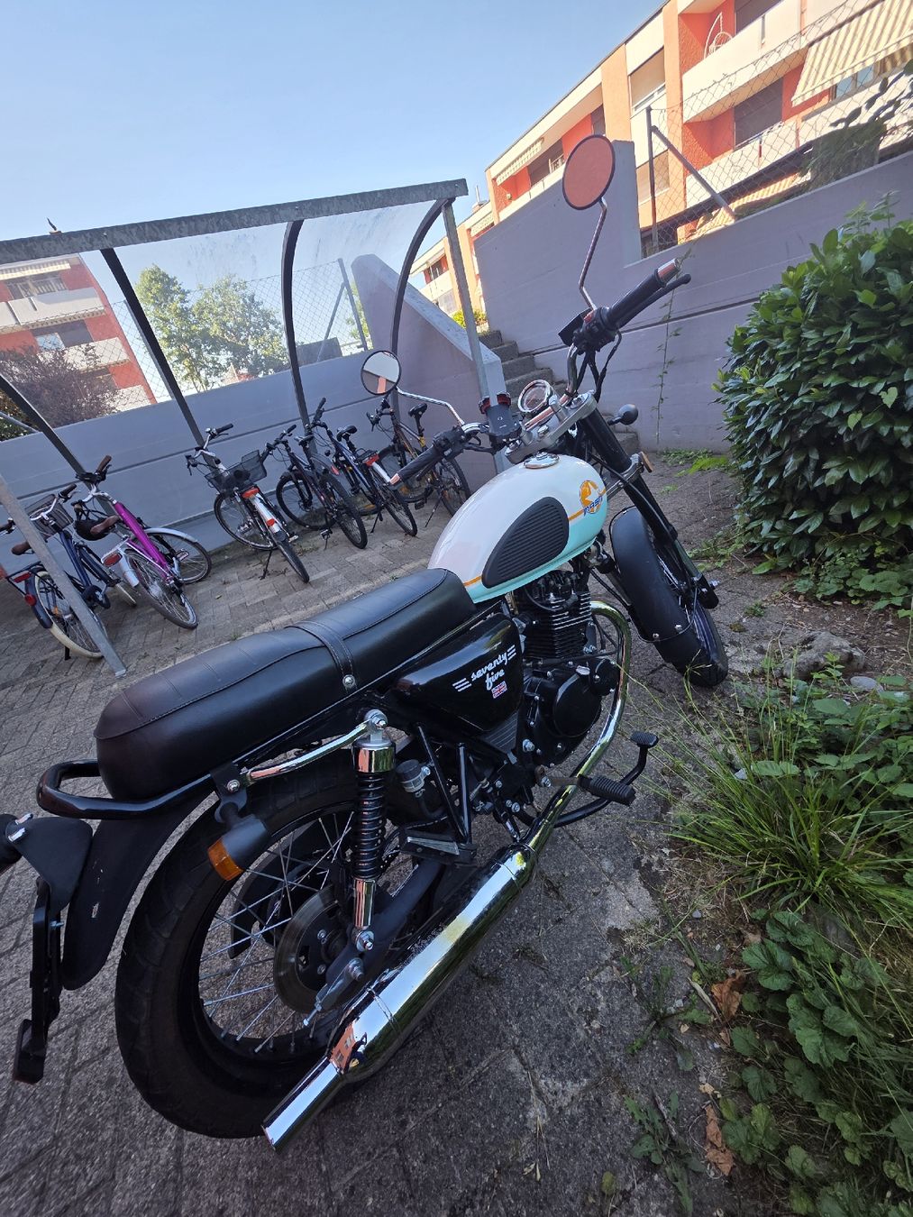 Mash Strasse: Mash seventy five 125 – Neu (gemäss Beschreibung) aus Rickenbach b. Wil von MercedesBenz_ 1