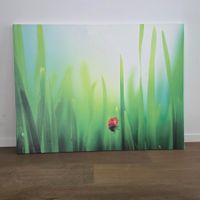 🐸 BILD MARIENKÄFER ABHOL. BÜLACH UNIKAT KEILRAHMEN LEINWAND