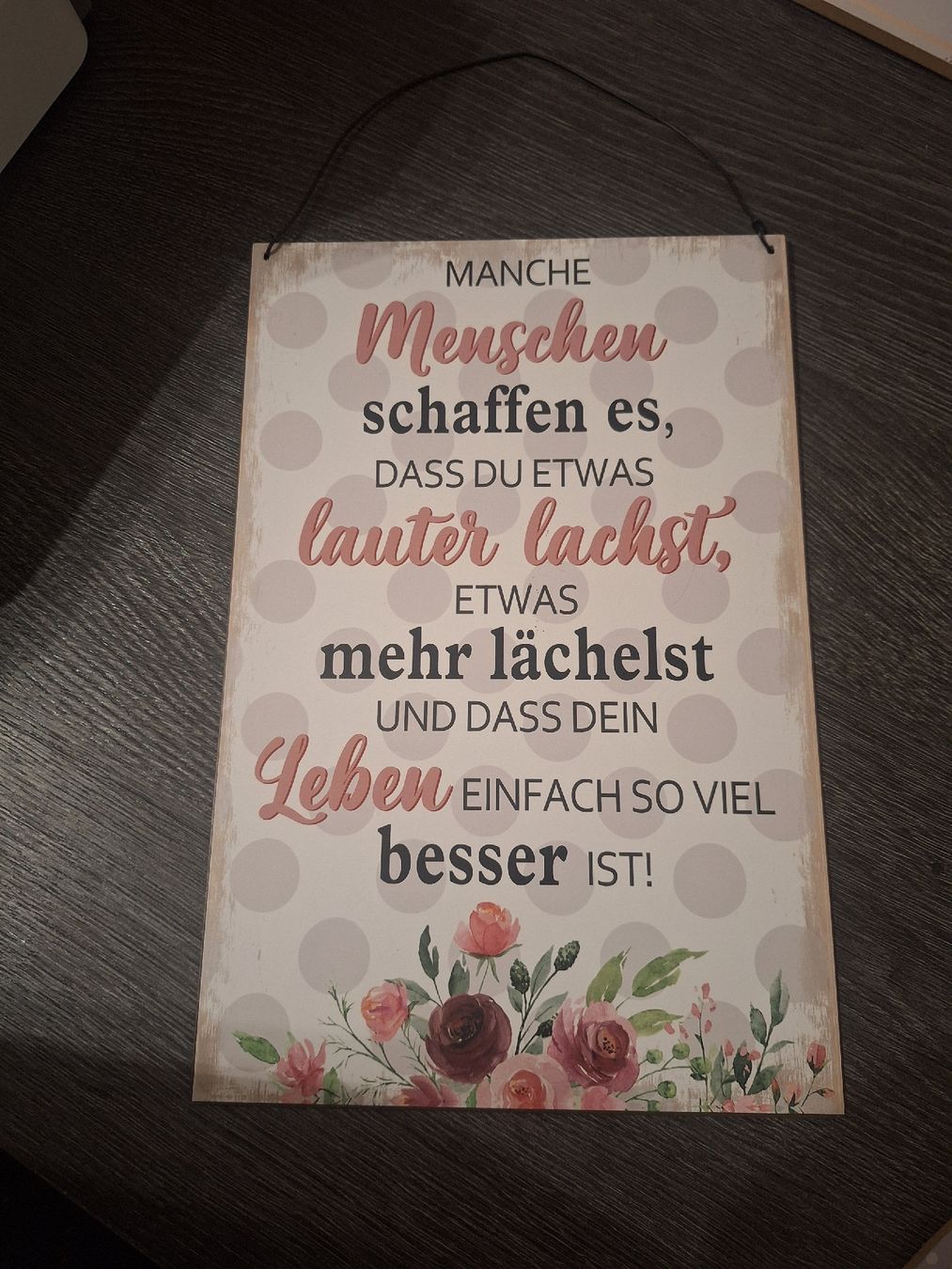 Insegne: Blechschild Spruch Manche Menschen – Usato da Wanzwil venduto da chlinih93