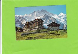 Kleine Scheidegg--Hotels