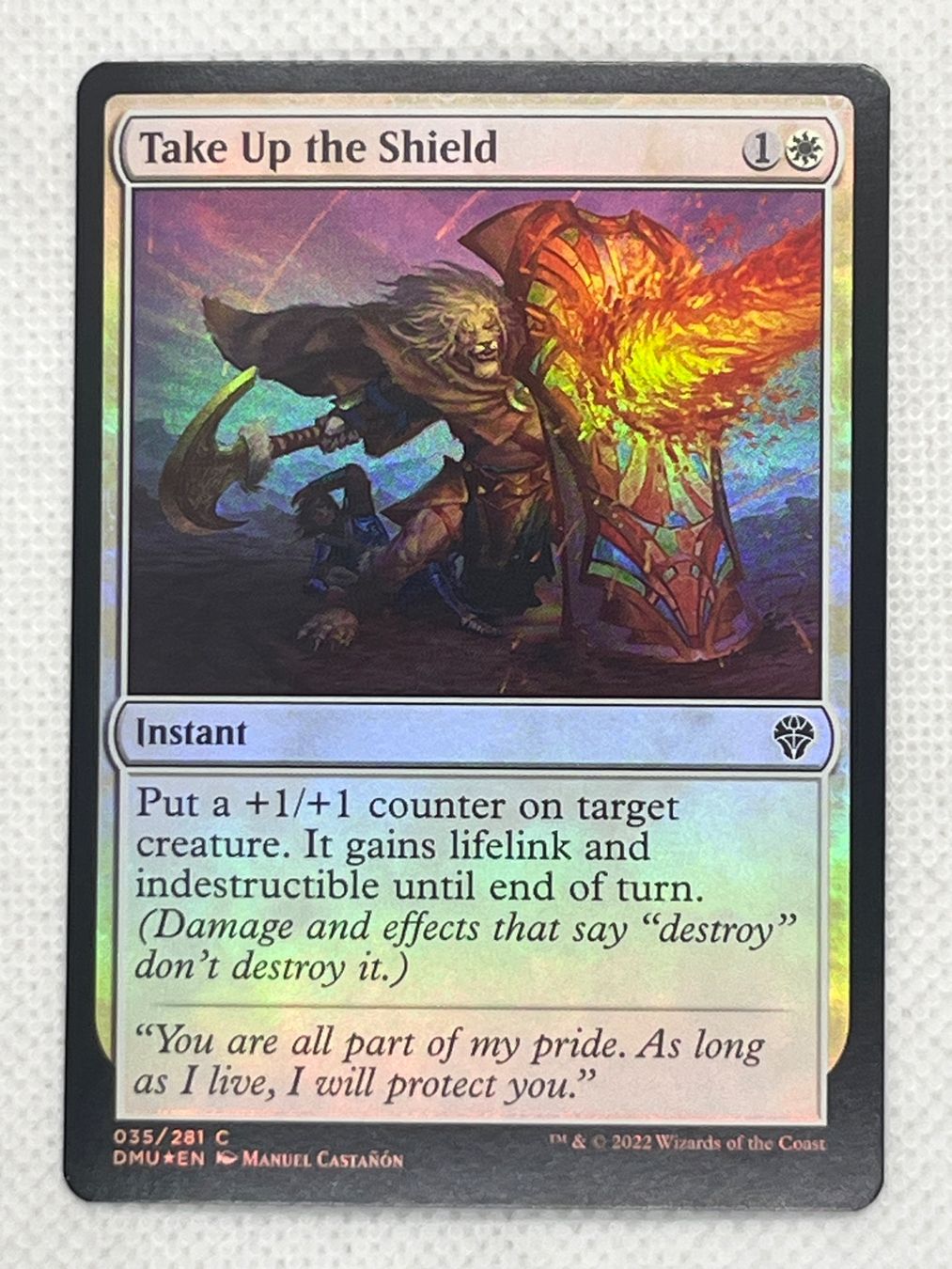 Magic The Gathering Carte collezionabili: MTG Take Up the Shield DMU 35 Englisch Foil Common – Usato da Hinterkappelen venduto da Kim1992