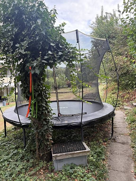 Trampoline: Trampolin  – Gebraucht aus Windisch von pagbfrs