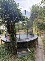Trampolin 