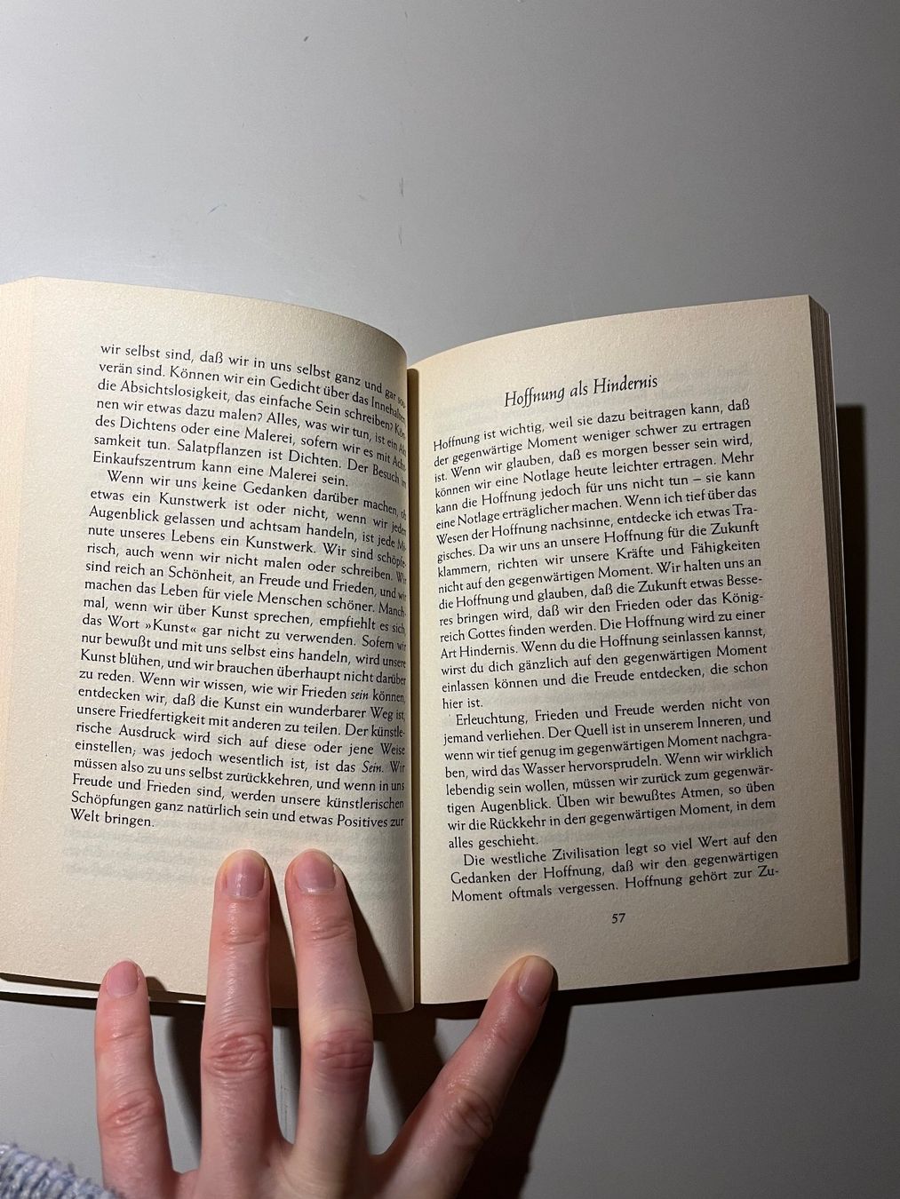 Libri: Thich Nhat Hanh: Ich pflanze ein Lächeln – Usato da glattfelden venduto da kimiaxel 3