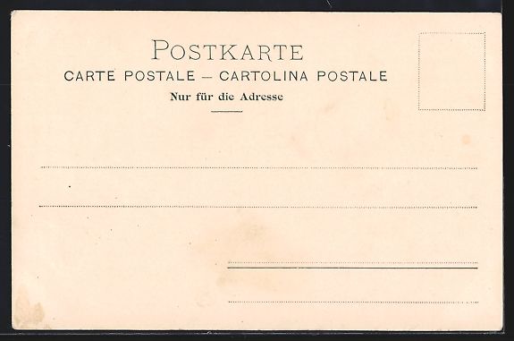 Cartes postales: Zürich, Schützengesellschaft, Ansicht  – D'occasion à Berlin par bartko-reher 1