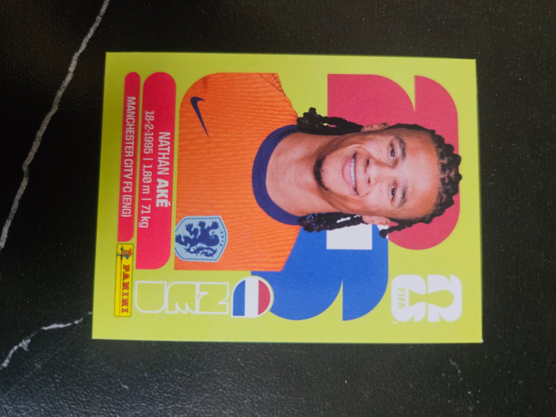 Panini Cartes à collectionner: NED 7 – D'occasion à Würenlingen par Dinli