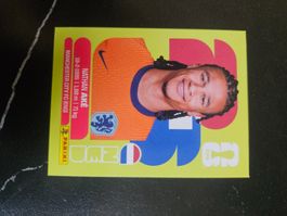 NED 7