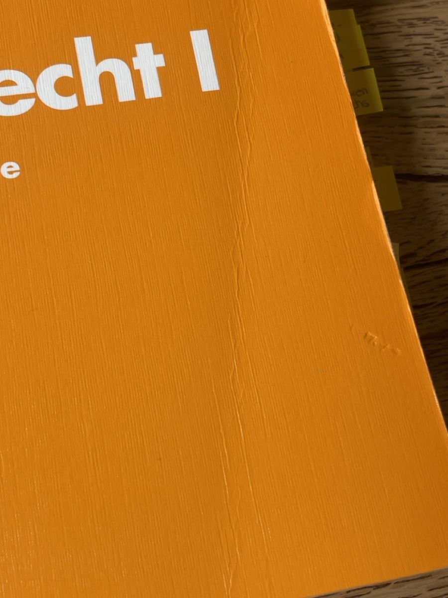 Libri: Strafrecht I - Juristisches Lehrbuch – Usato da Einsiedeln venduto da loubi02 3