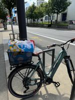 E-Bike Allegro Invisible Alltour ATIL°03 Highland 52cm