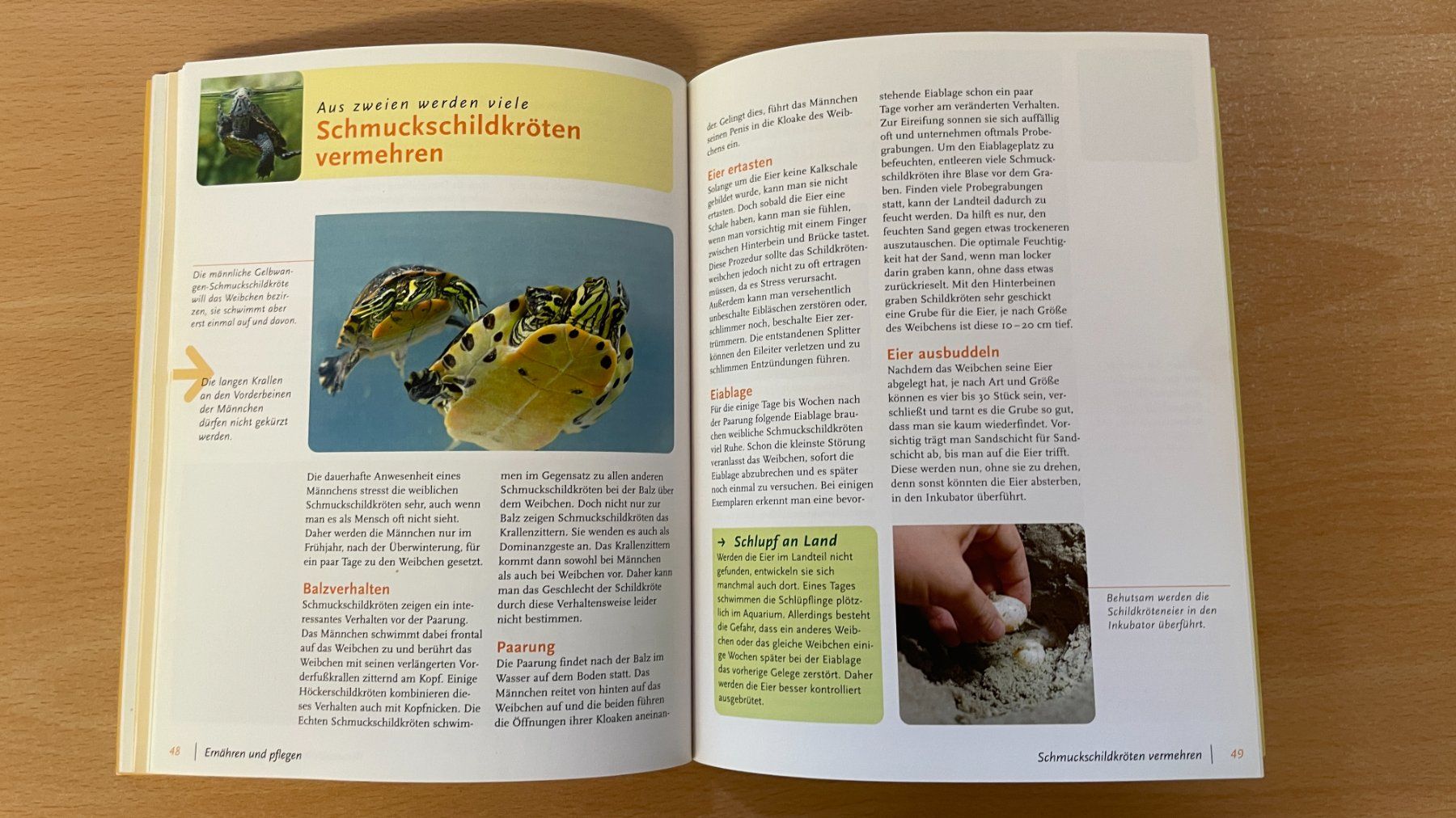 Libri: Schmuckschildkröten – Usato da Glattfelden venduto da flomiking 9