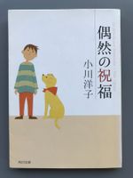 Japanisches Taschenbuch 47
