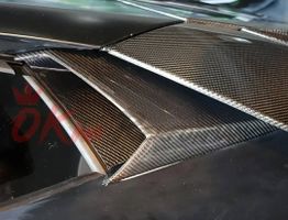 Aventador Carbon Lufteinlässe