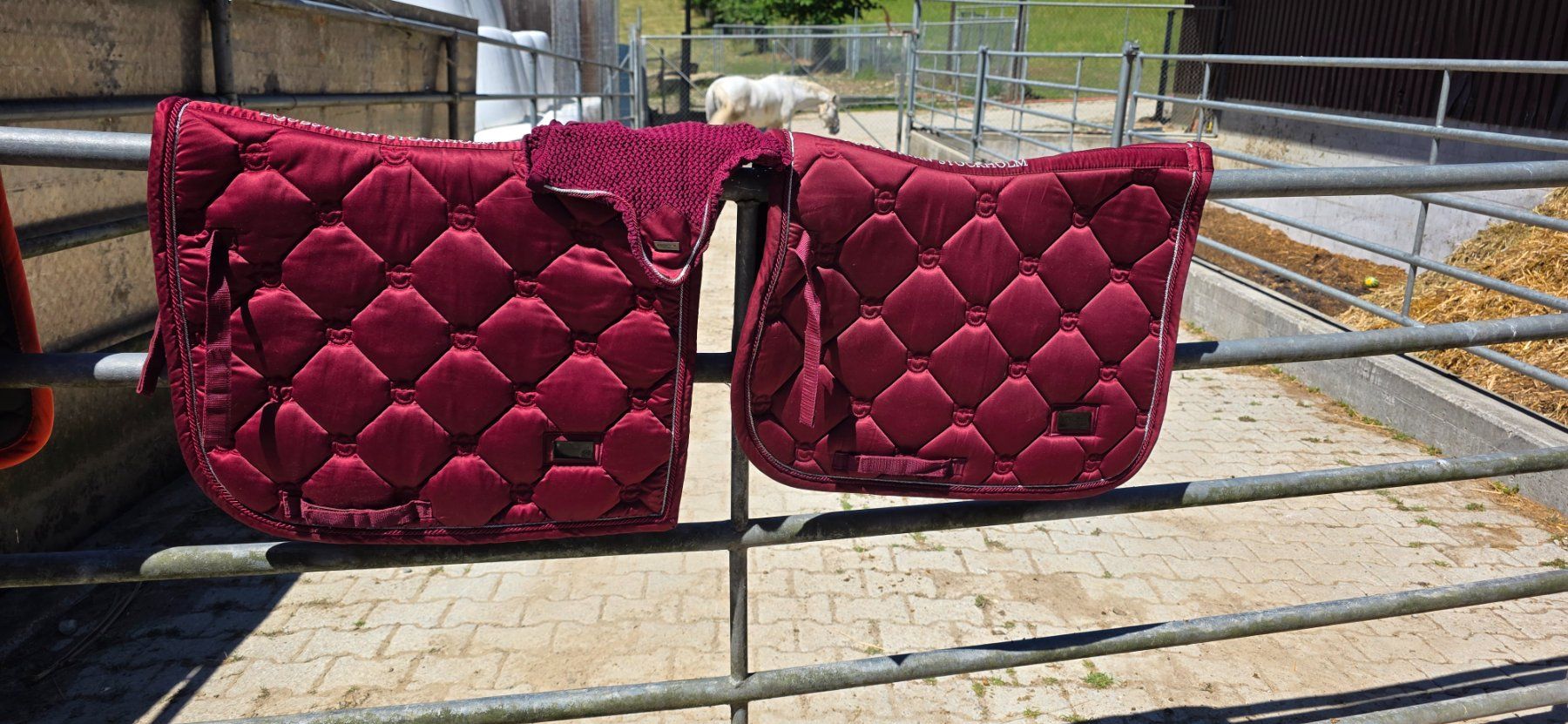 Coperte: Equestrian Stockholm Schabracke VS – Usato da Wettingen venduto da Mooshofangel