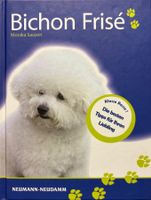 Sausen Monika, Bichon Frisé