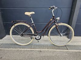 Pegasus Citybike Stadtvelo Bahnhofvelo 7 Gang 45 cm Bike 