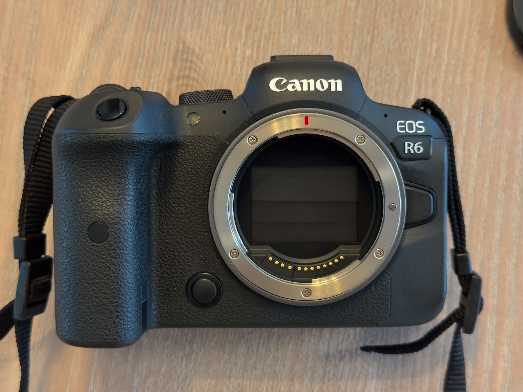Canon Fotocamera: Canon EOS R6 Mirrorless+RF 35 Macro – Usato da Rheinfelden venduto da gir_8jfm 2