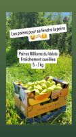 Poires de mon verger en Valais - Fully