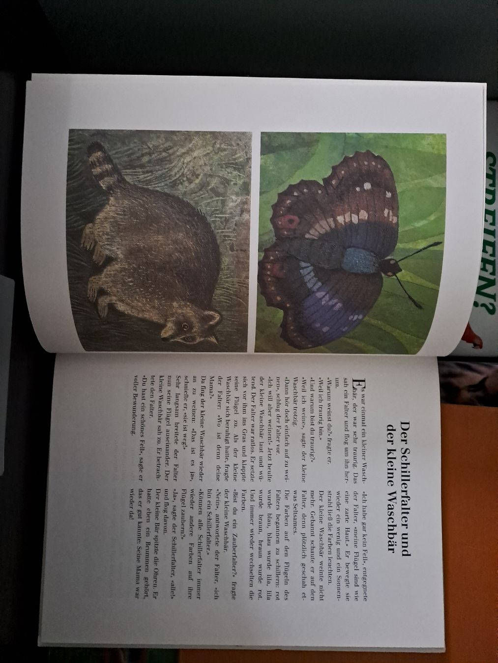Libri: Hilde Heyduck-Huth Paradieskranich Kinderbuch – Usato da Zürich venduto da Schoebi19 4