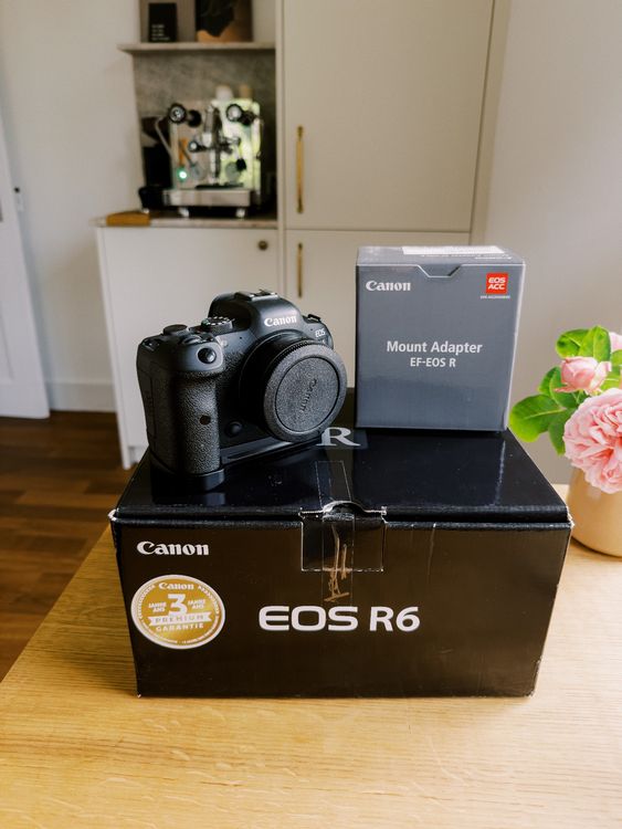 Canon R6 - inkl. Canon Mount Adapter EF-EOS R (Gebraucht) in Thun für ...