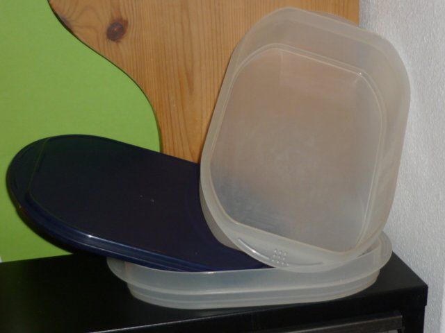 Tupperware Contenitori & Simili: TUPPERWARE FÜR AUFSCHNIT UND KÄSE – Usato da St.Gallen venduto da Anso 2