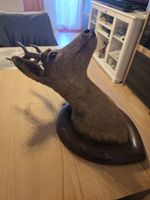 Reh Geweih mit Kopf auf Holzsockel Jagdtrophäe