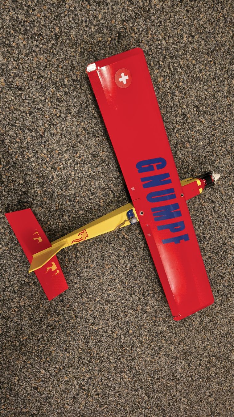 Modellismo RC: Gnumpf mit E Motor – Usato da Azmoos venduto da Ksubaru 1