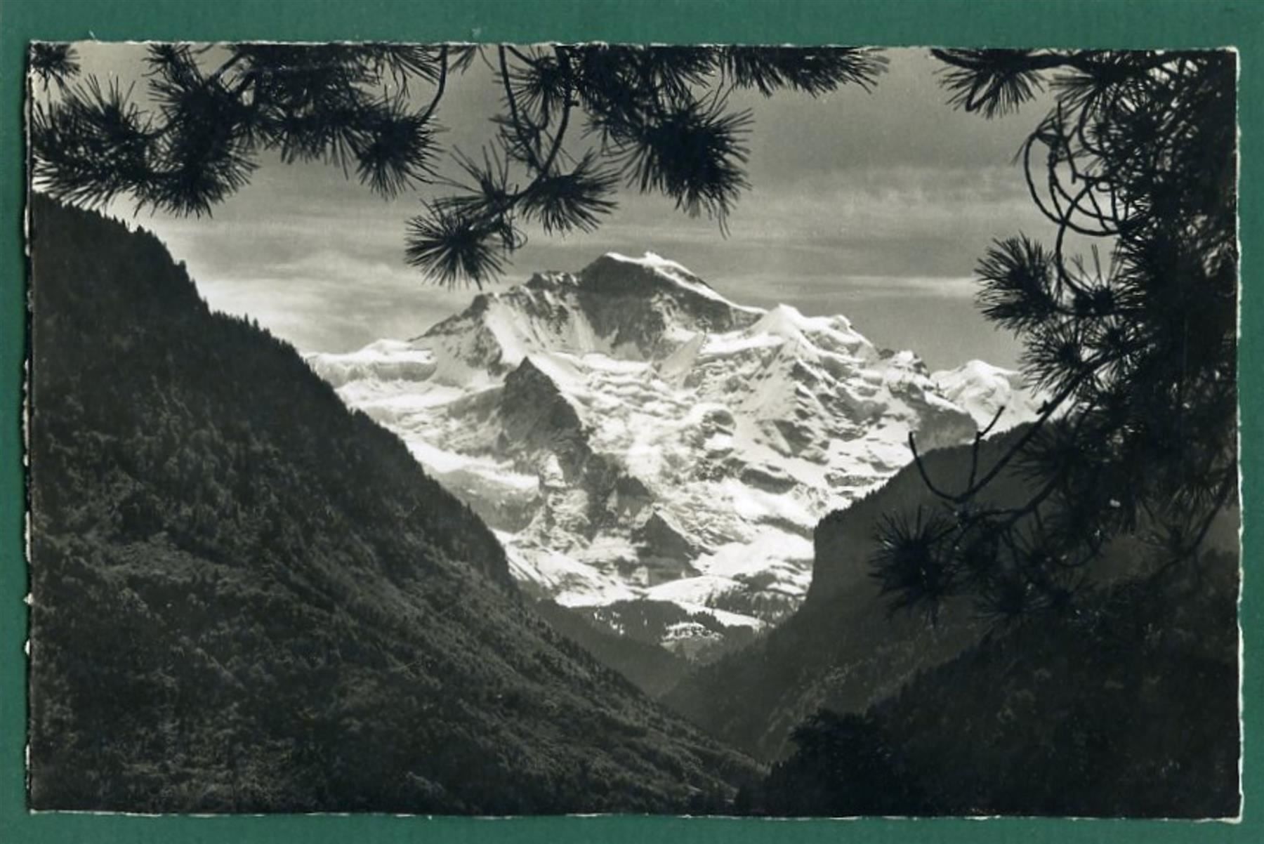 Cartoline postali: Interlaken, Jungfrau, ungelaufen – Usato da Sargans venduto da Hausi1951