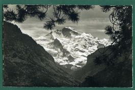 Interlaken, Jungfrau, ungelaufen