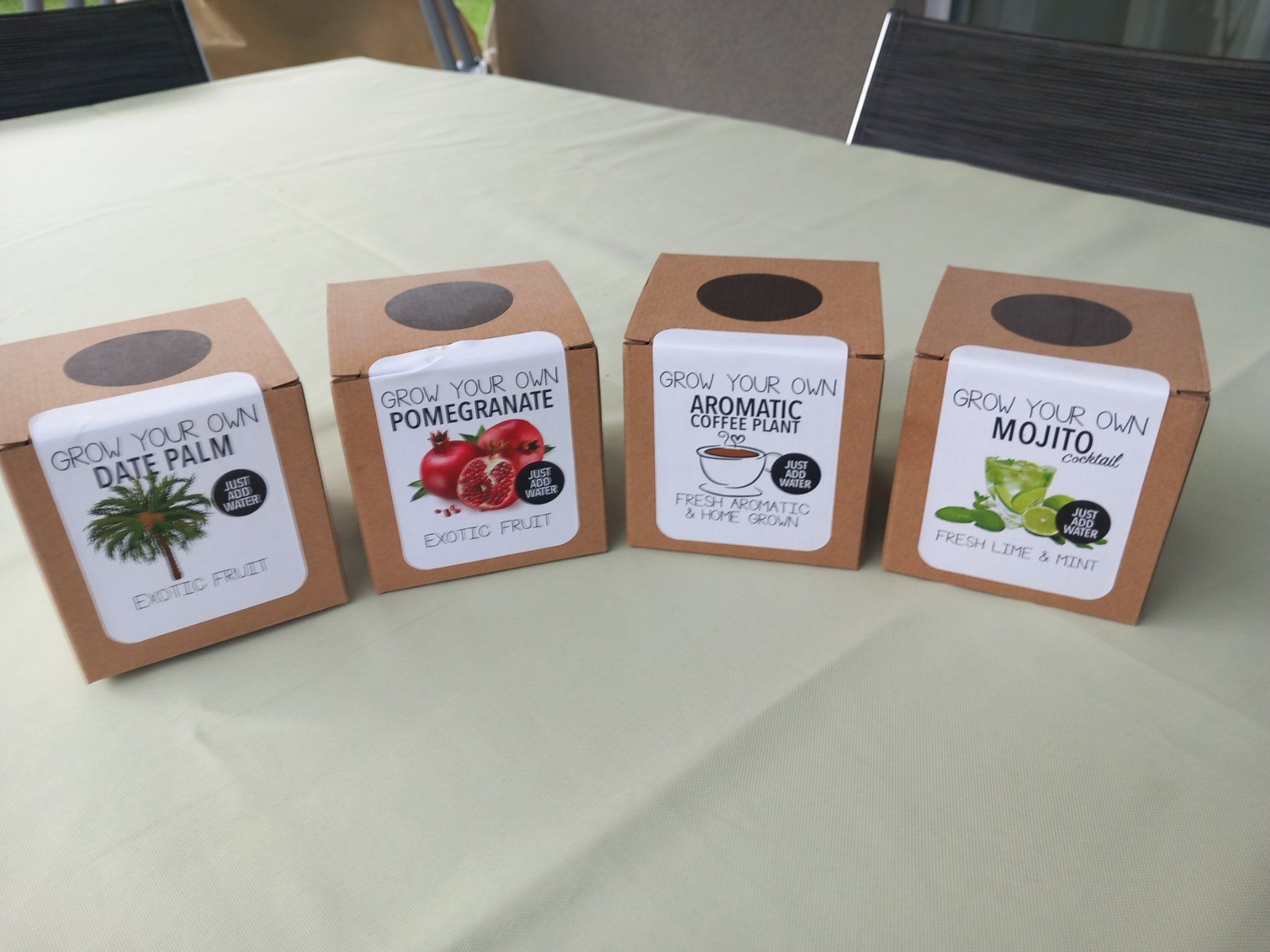 Piante & sementi: 4x Tolle Geschenkidee – Nuovo e nell'imballaggio originale da Thun venduto da Beroshop