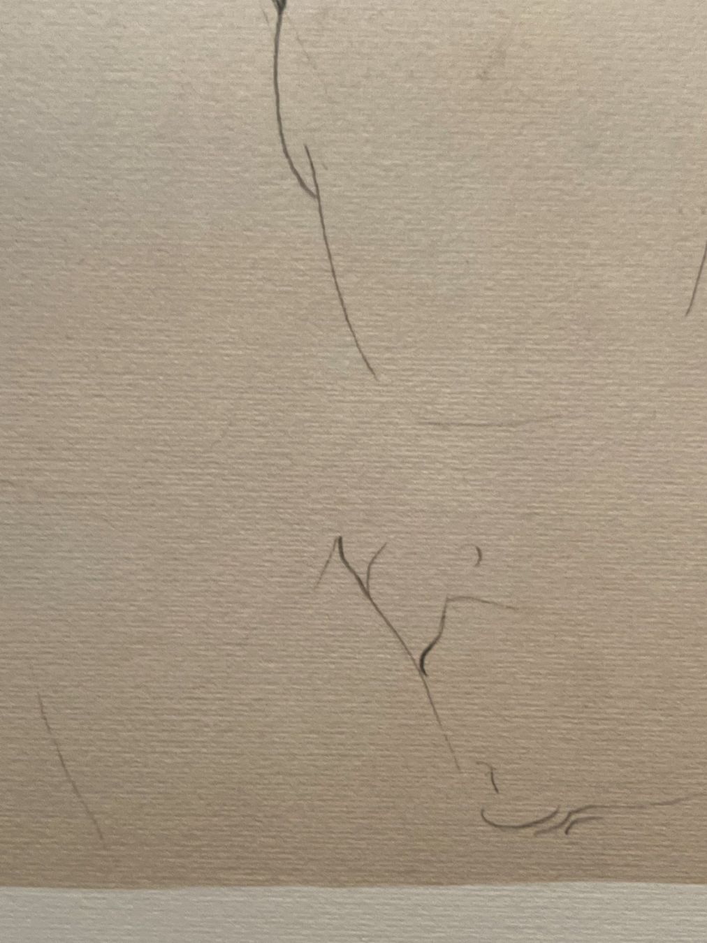 Grafica & Litografie: Amedeo Modigliani - Lithografie in limitierter Auflage – Usato da Ponte Tresa venduto da 11GalleriaAlterEgo11 7