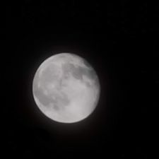 Profile image of AutumnMoon