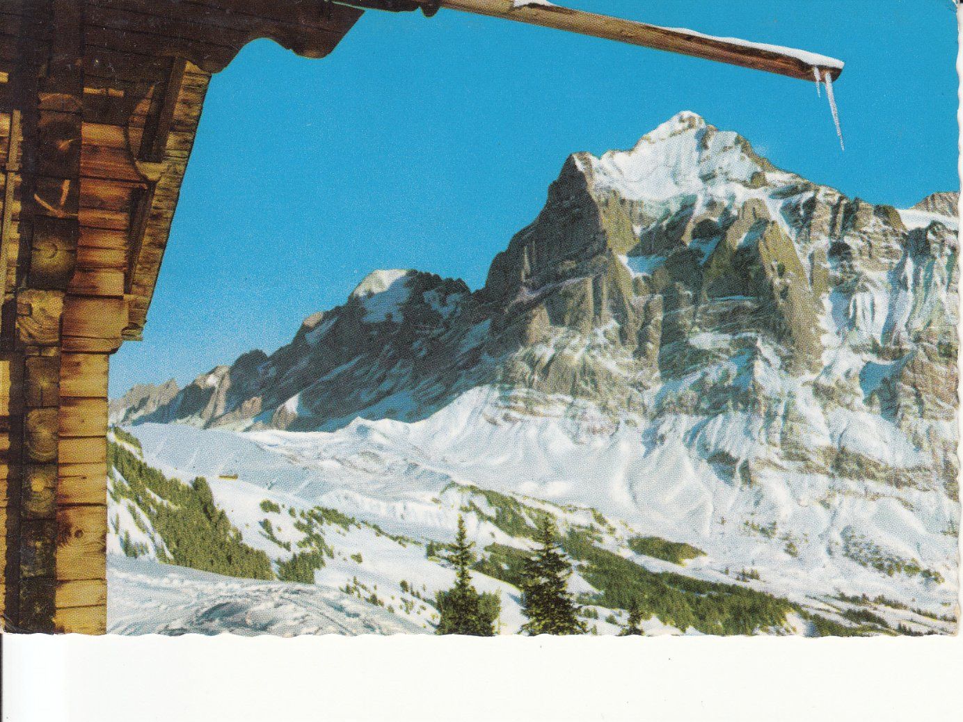 Cartoline postali: Grindelwald 1957 – Usato da Bürglen TG venduto da StampGraf