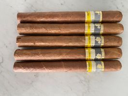 Cohiba Esplendidos Zigarren,5 Stück