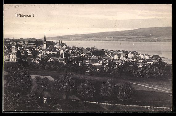 Cartes postales: AK Wädenswil, Ortsansicht – D'occasion à Berlin par bartko-reher