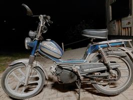 PONY 503 GTX