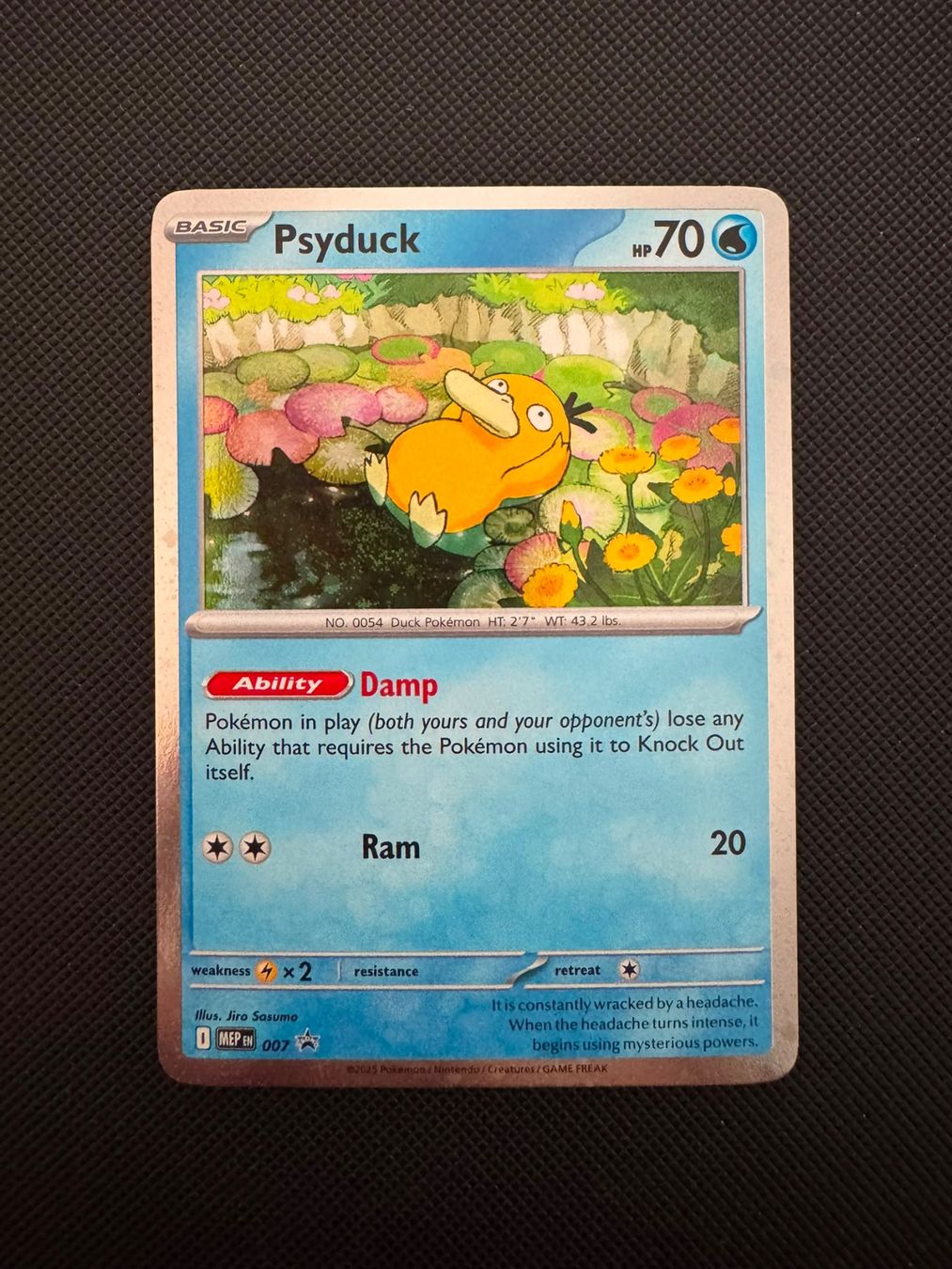 Pokémon Cartes à collectionner: Pokémon Psyduck Promo #007 – D'occasion à Seuzach par provenzano18