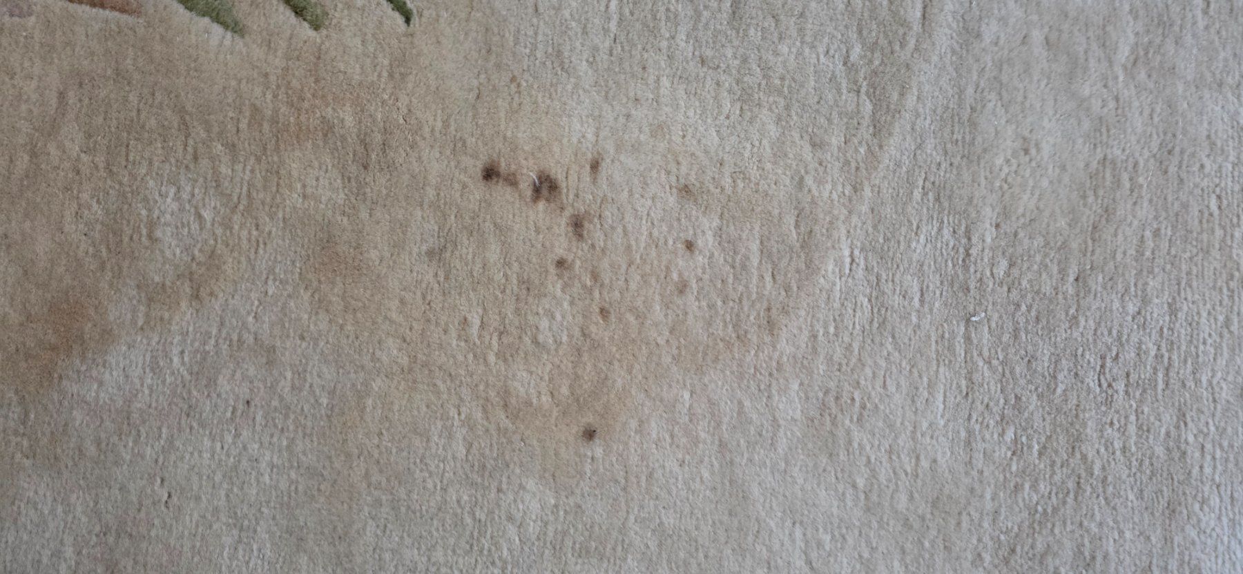 Teppiche: Tapis de luxe – Gebraucht aus La Chaux-de-Fonds von pas_6tyr 7