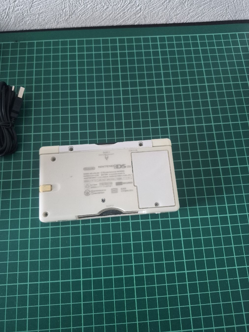 Nintendo Consoles: Nintendo DS Lite console white with charger and Nintendogs  – D'occasion à Meyrin par Retro-GZ 2