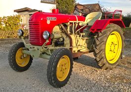 Oldtimer Traktor Steyr T84