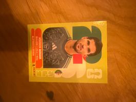 Panini