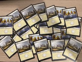 25 Standardländer Magic the Gathering
