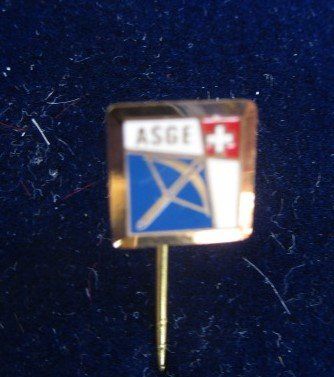 Schweizer Armee Placchette & Badge: LOT: 23 X Militaria - Batten - Abzeichen - siehe scan – Usato da Luzern venduto da Horoskop1 7
