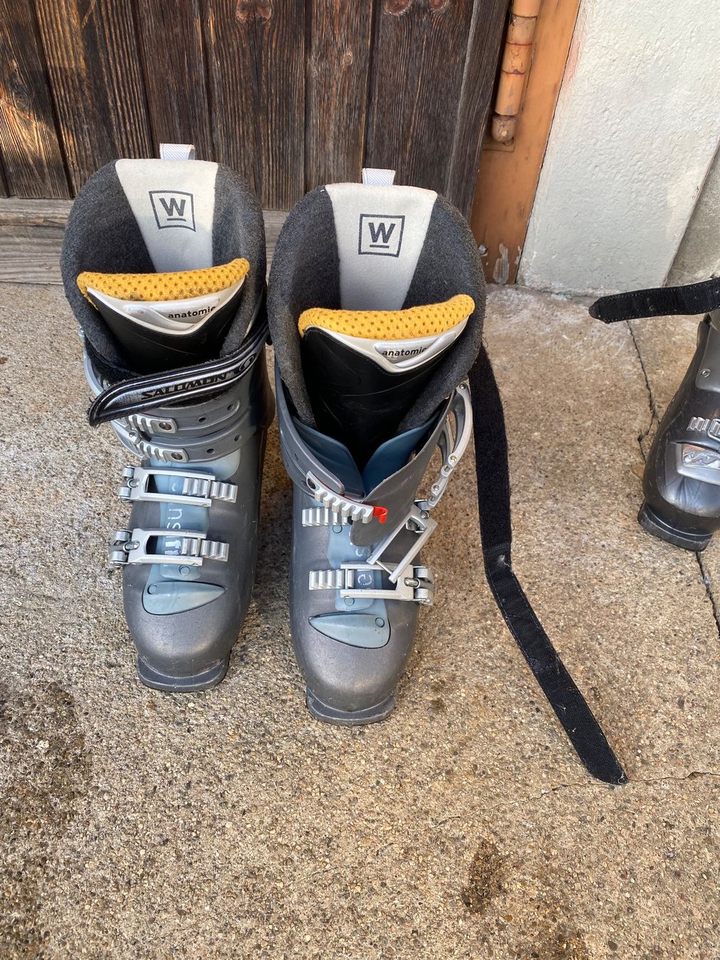 Tecnica Scarpe da donna: Damen Skischuhe, Grösse 38 – Usato da Hornussen venduto da bialystok